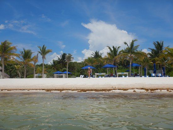 Acuario de Playa